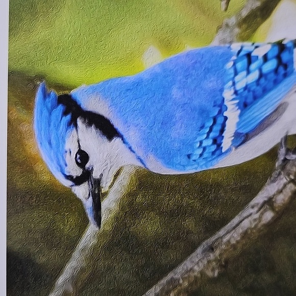 4x6 Spring‎ Blue Jay Bird Oil Painting Photography Print - Picture 2 of 4